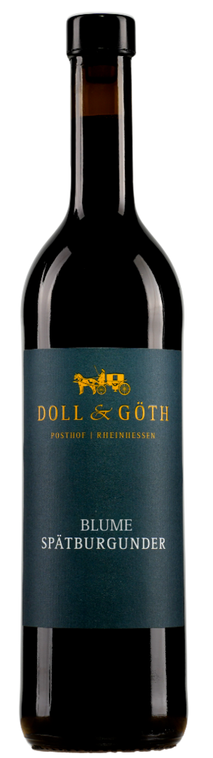 Produktfoto: 2024er Elsheimer Blume Spätburgunder