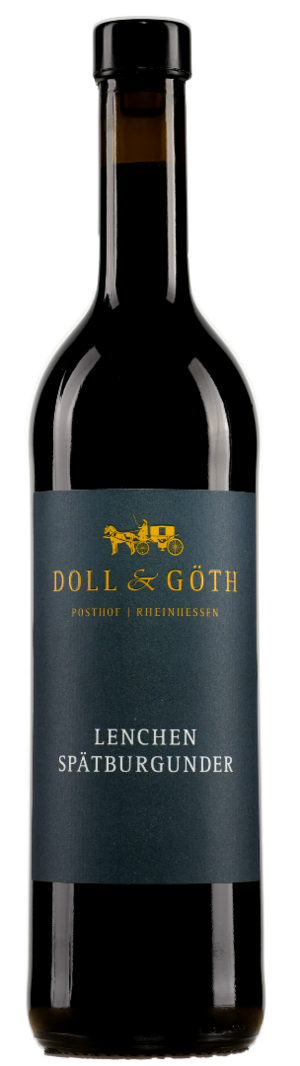 Produktfoto: 2023er Lenchen Spätburgunder