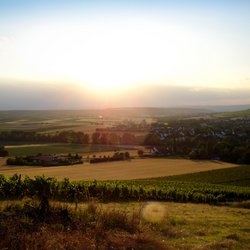 Blick ins Selztal