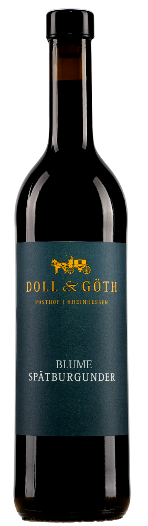 Produktfoto: 2024er Elsheimer Blume Spätburgunder